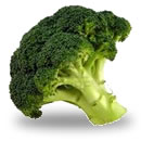 BROCOLI (Brassica oleracea var. italica)